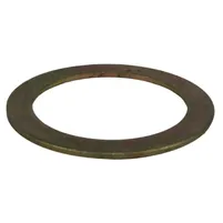 ARRUELA SUPORTE MOLINETE - Z39386 - imagem 1