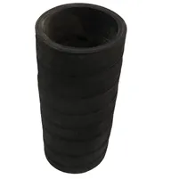 MANGUEIRA INFERIOR RADIADOR - DA02101 - imagem 2