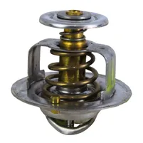 VALVULA TERMOSTATICA 2485613 - imagem 1