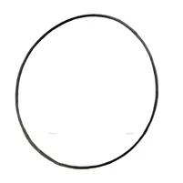 ANEL DA T.D.F. 886089 - imagem 1