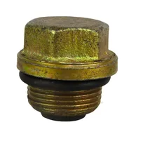 BUJAO DIFERENCIAL 488138 - imagem 1