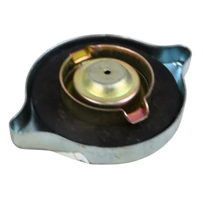 TAMPA DO TANQUE COMBUSTIVEL MASSEY 487399