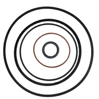 KIT ANEIS DUAL POWER REPDP - imagem 1