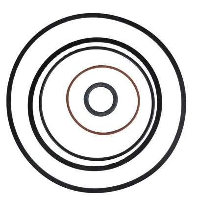 KIT ANEIS DUAL POWER REPDP