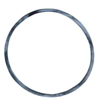 ANEL DO HIDRAULICO C5NNC944A - imagem 1