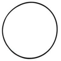 ANEL O 81827354 - imagem 1