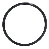 ANEL O TDF 195522 - imagem 1