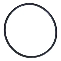 ANEL O BORRACHA 1004633 - imagem 1