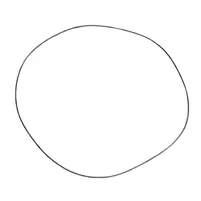 ANEL O 1860838 - imagem 1