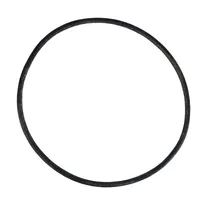 ANEL TRANSMISSAO DUAL POWER 83416959 - imagem 1