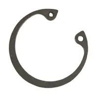 ANEL ELASTICO TDF 81826851 - imagem 1