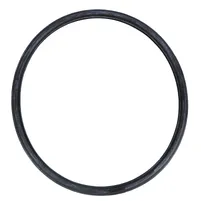 ANEL FILTRO OLEO 242580 - imagem 1