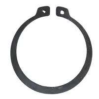 ANEL ELASTICO 80909400 - imagem 1