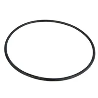 ANEL O 040922 - imagem 1