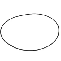 ANEL 80601100 - imagem 1