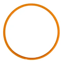 ANEL RETENTOR 80068200 - imagem 1