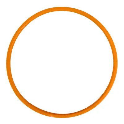 ANEL RETENTOR 80068200