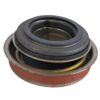 GAXETA BOMBA AGUA MWM G160 - imagem 1