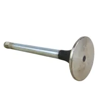 VALVULA ESCAPE MWM 112420 - imagem 1