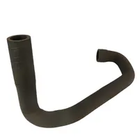 MANGUEIRA INF RADIADOR 216560 - imagem 1