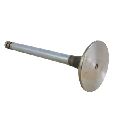 VALVULA ADMISSAO MWM 112430