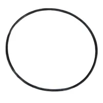 ANEL O 040937 - imagem 1