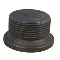 BUJAO DO CUBO DIANTEIRO 335 3176345 - imagem 1