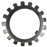 ARRUELA TRAVA TC55/57 1441695X1 - imagem 1