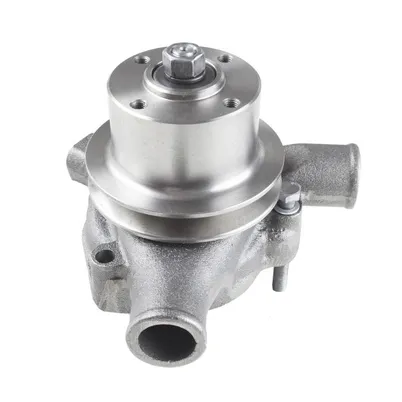 BOMBA AGUA C/ POLIA MOTOR 4203 - 7000153001