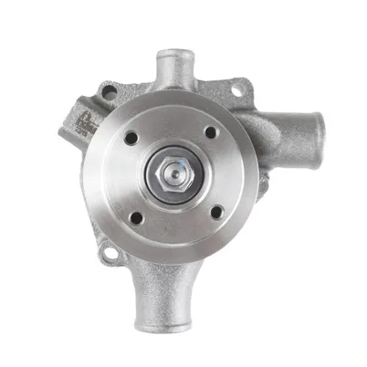 BOMBA AGUA C/ POLIA MOTOR 4203 - 7000153001
