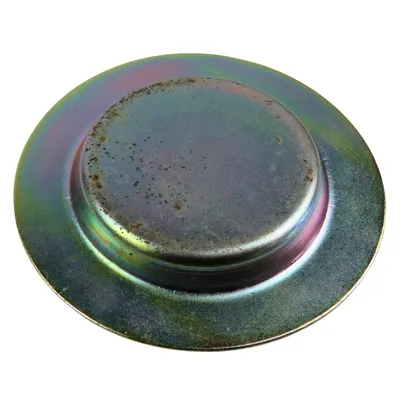PROTECAO ROLAMENTO CILINDRO LE - 310066