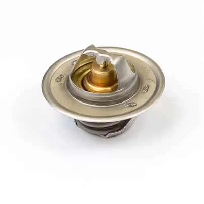 VALVULA TERMOSTATICA - 2485659