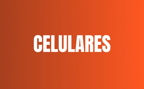 banner 2