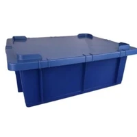 Caixa Organizadora 15 Litros - Com Tampa - AZUL - imagem 2