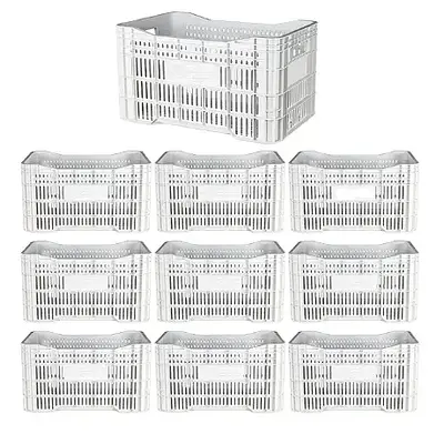 Caixa Plástica Agrícola Vazada - 20 KG 50 litros ( kit 10 un )- BRANCA