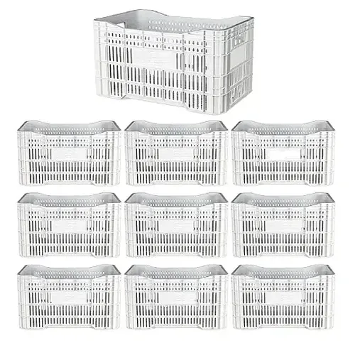 Caixa Plástica Agrícola Vazada - 20 KG 50 litros ( kit 10 un )- BRANCA