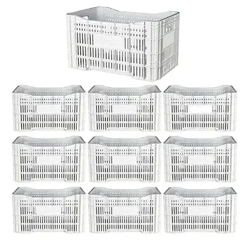 Caixa Plástica Agrícola Vazada - 20 KG 50 litros ( kit 10 un )- BRANCA