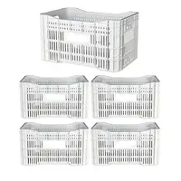 Caixa Plástica Agrícola Vazada - 20KG 50 litros ( kit 5 un ) - BRANCA - imagem 1