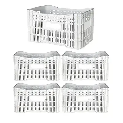 Caixa Plástica Agrícola Vazada - 20KG 50 litros ( kit 5 un ) - BRANCA