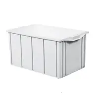 Caixa Organizadora 36 Litros com Tampa - BRANCA - imagem 1