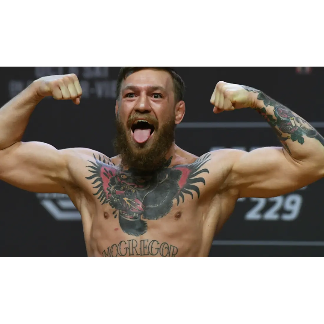 SOSTheBalcka - imagem 9