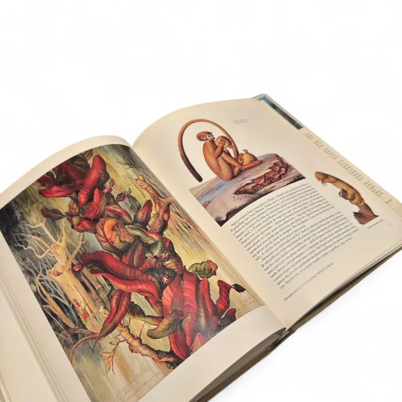 Margaret Mee — Em Busca das Flores da Floresta Amazônica (Salamandra, 1989) — Capa dura com sobrecapa