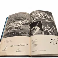 Livro Niemeyer — Luce Wilquin & André Delcourt (Éditions Alphabet, 1977) — Francês — Capa dura - imagem 6