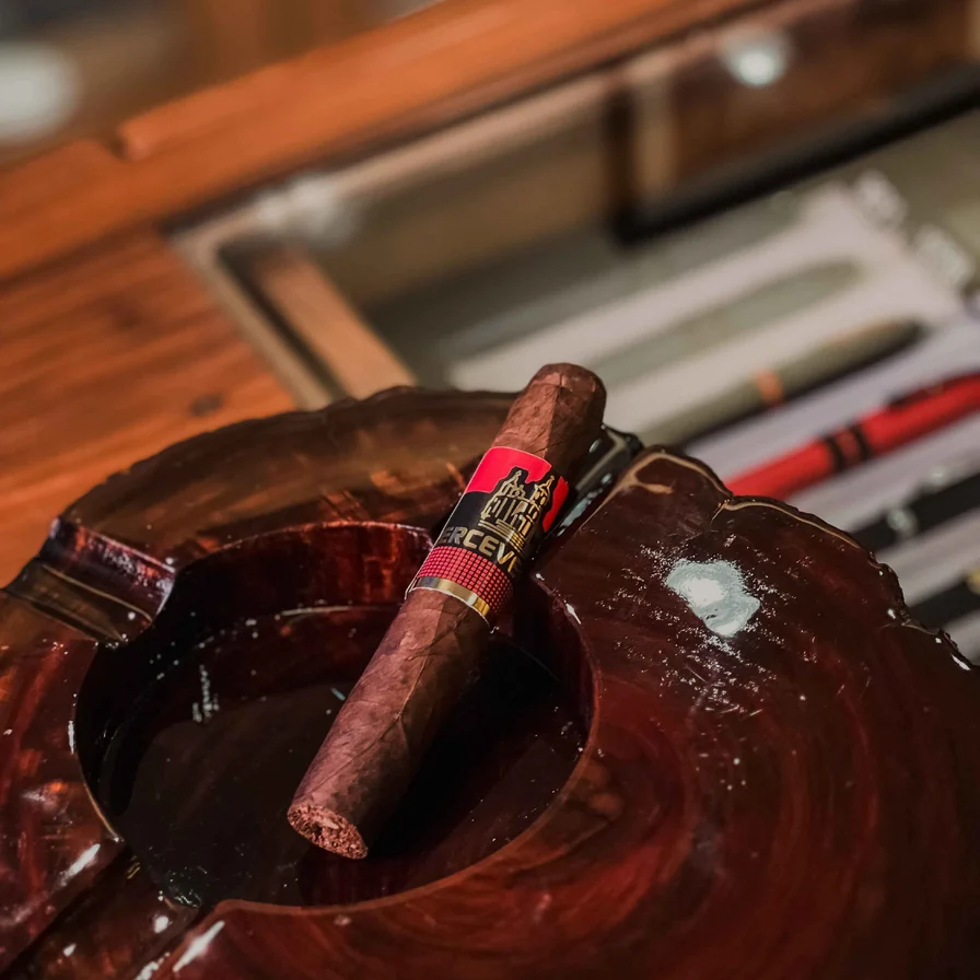 Charuto Perceverancia Añejo Robusto Maduro