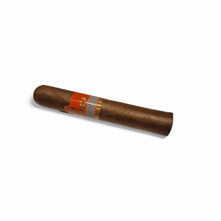 Charuto Perceverancia Premium Robusto