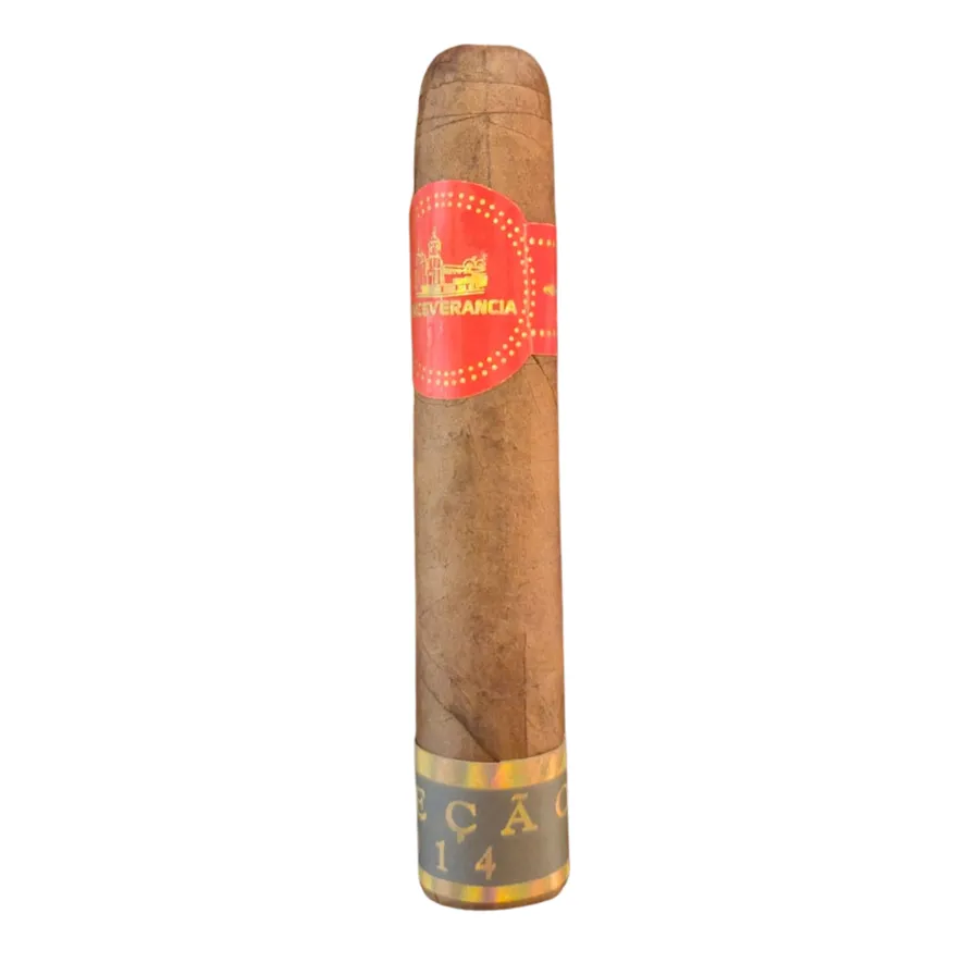 CHARUTO PERCEVERANCIA PETIT CORONA