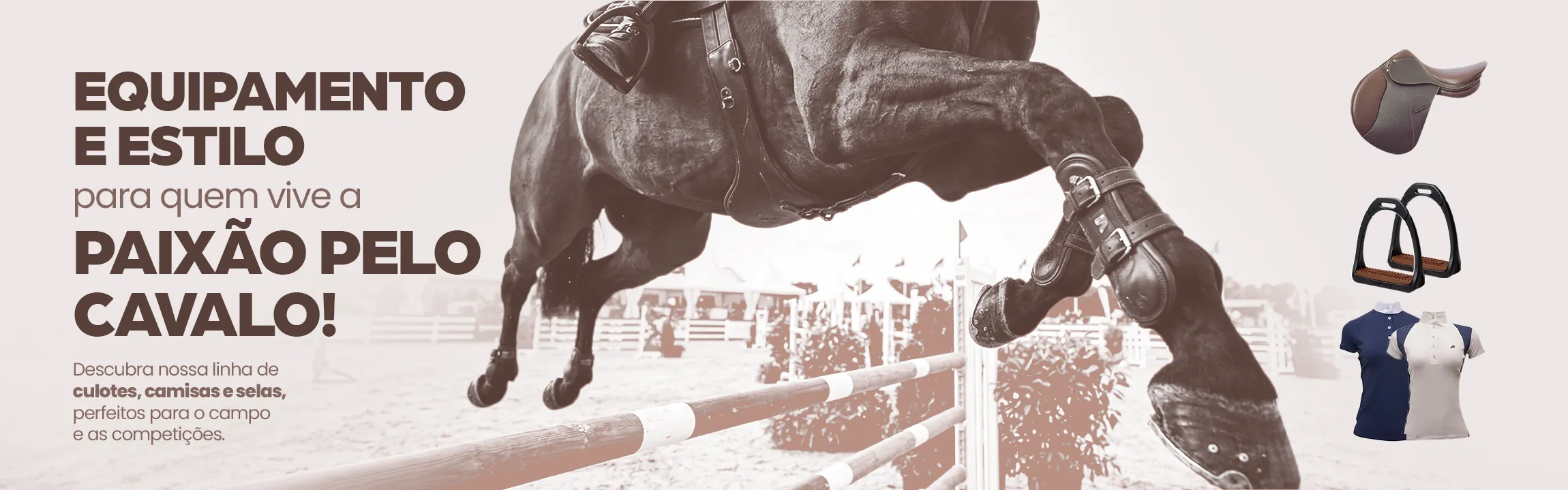 Banner 1