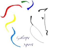 Logo no rodapé
