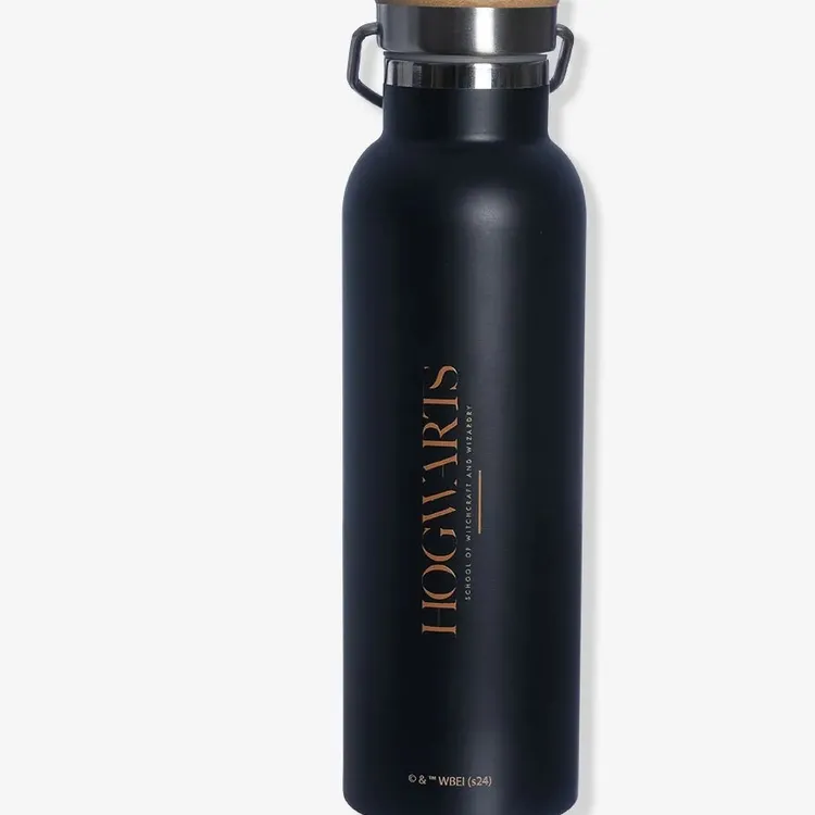 GARRAFA TERMICA 600ML HARRY POTTER