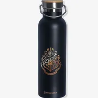 GARRAFA TERMICA 600ML HARRY POTTER - imagem 1